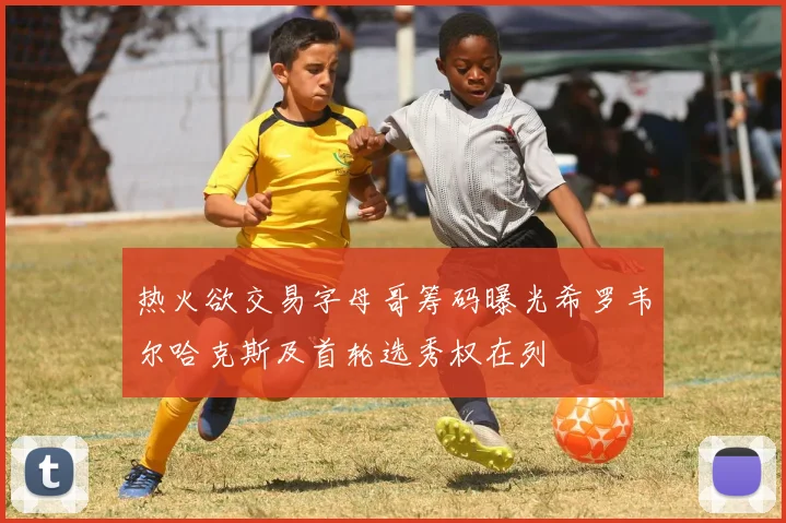 热火欲交易字母哥筹码曝光希罗韦尔哈克斯及首轮选秀权在列