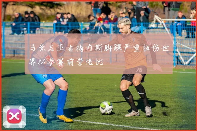 马竞后卫吉梅内斯脚踝严重扭伤世界杯参赛前景堪忧